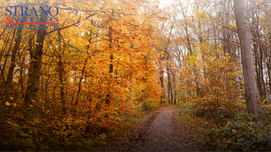 Exploring Belleville's Best Fall Hiking and Biking Trails | Strano & Associates