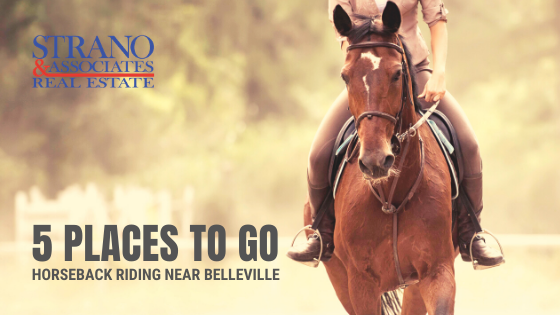 Horseback Riding