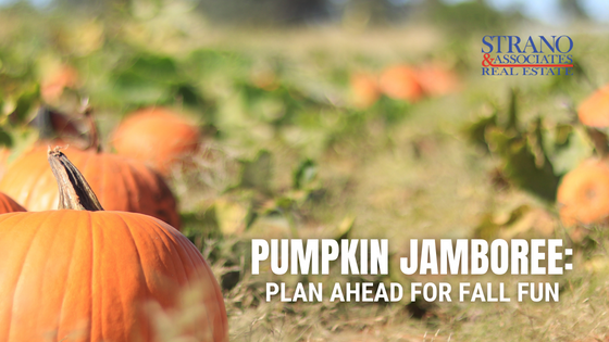pumpkin jamboree