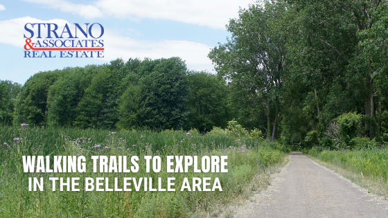 Walking Trails in Belleville
